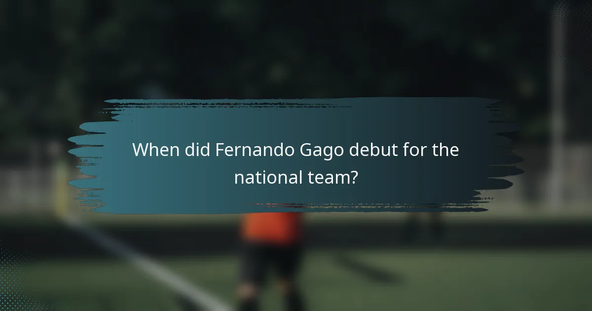 When did Fernando Gago debut for the national team?